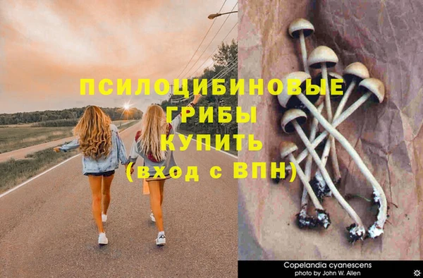 кокаин Богородск