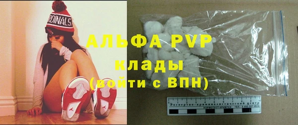 стаф Осинники