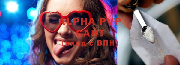 стаф Осинники