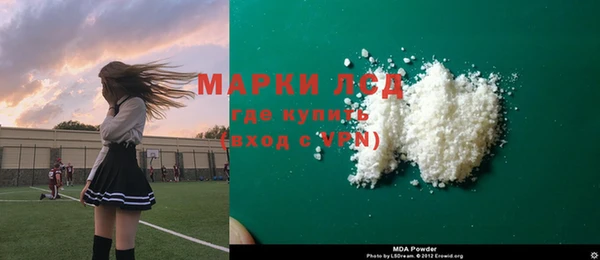 стаф Осинники