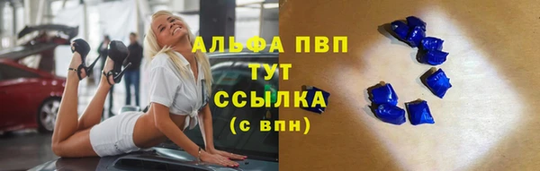 стаф Осинники