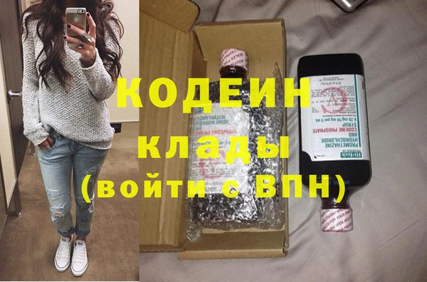 стаф Осинники