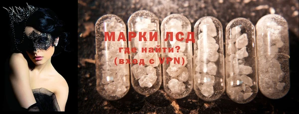 стаф Осинники