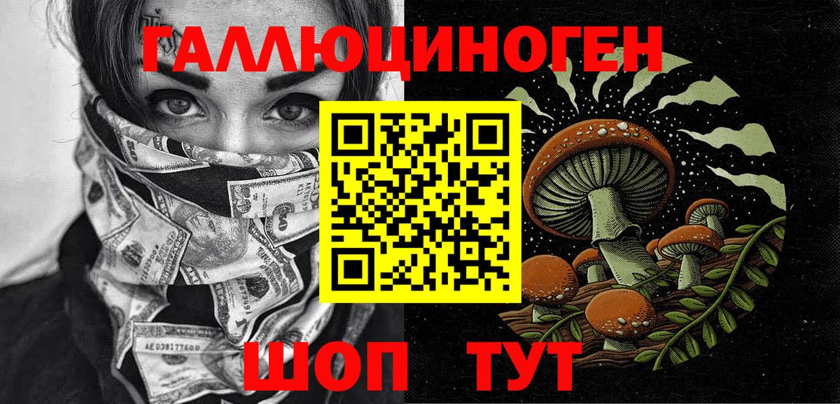 Краснокамск  Галлюциногенные грибы Psilocybe  Вход с VPN 